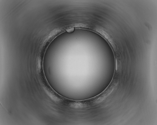 X0000115840253200911131537