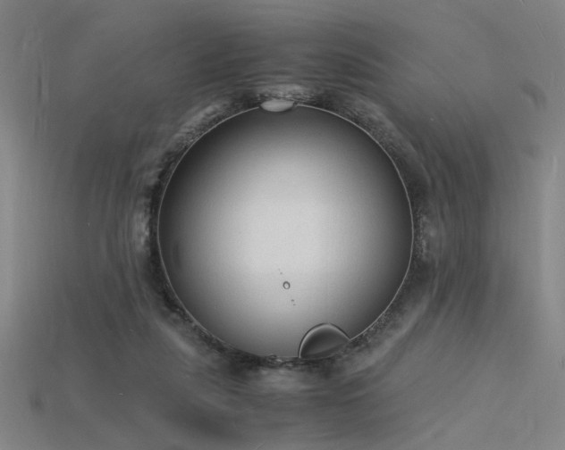 X0000115840259200911131537