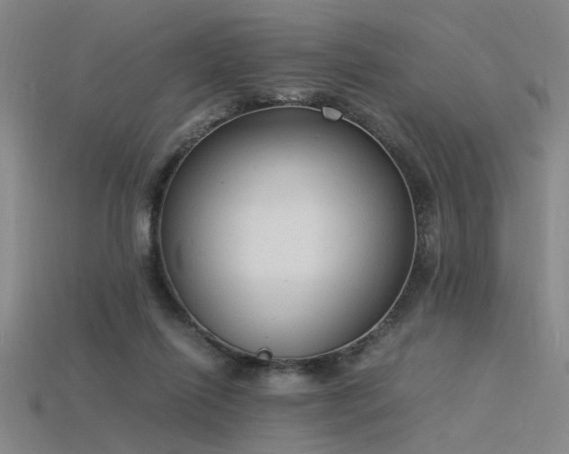 X0000115840262200911131537