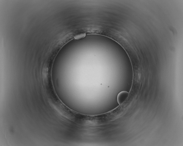 X0000115840263200911131537