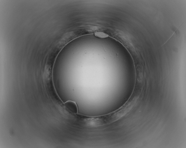 X0000115840273200911131537