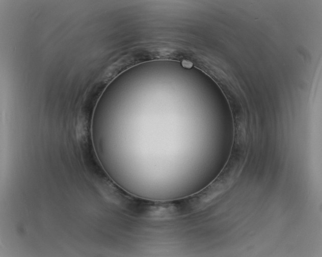 X0000115840274200911131537