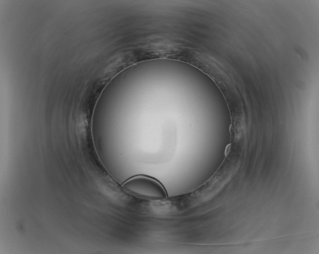 X0000115840279200911131537