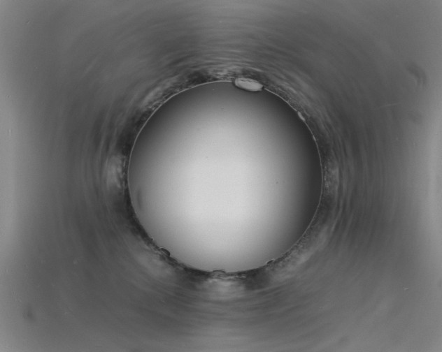 X0000115840280200911131537