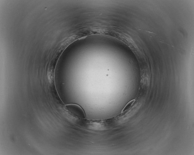 X0000115840285200911131537