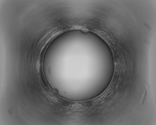 X0000115840290200911131537