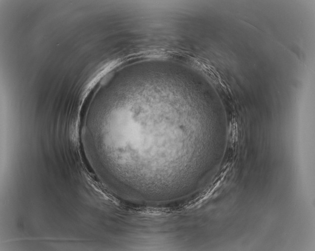 X0000115840292200911131536
