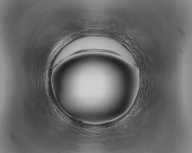 X0000115840293200911131536