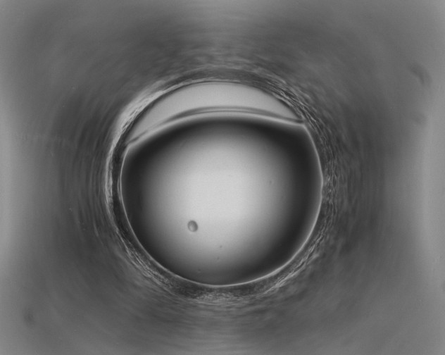X0000115840294200911131536