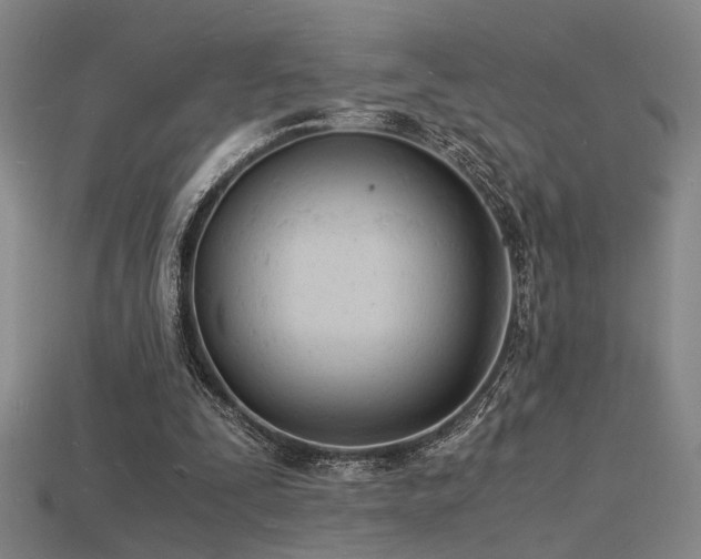 X0000115840295200911131536