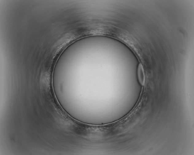 X0000115840297200911131536