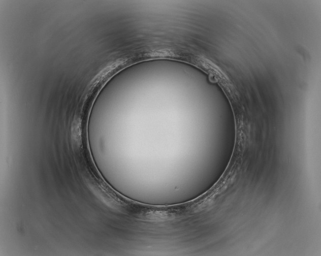 X0000115840298200911131536
