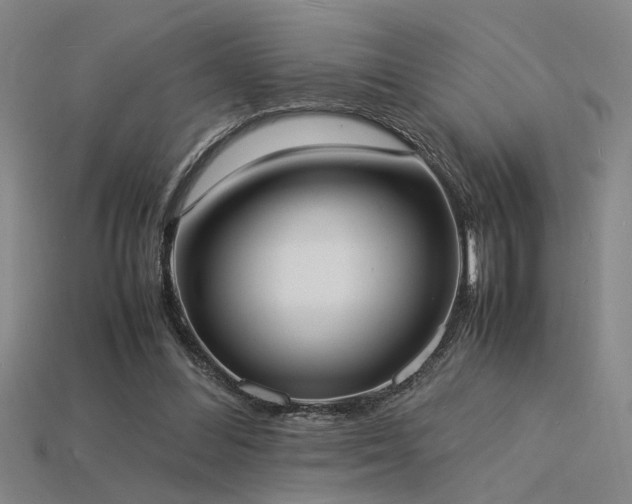 X0000115840300200911131536