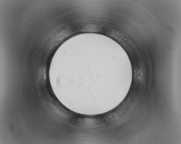 X0000115840302200911131536