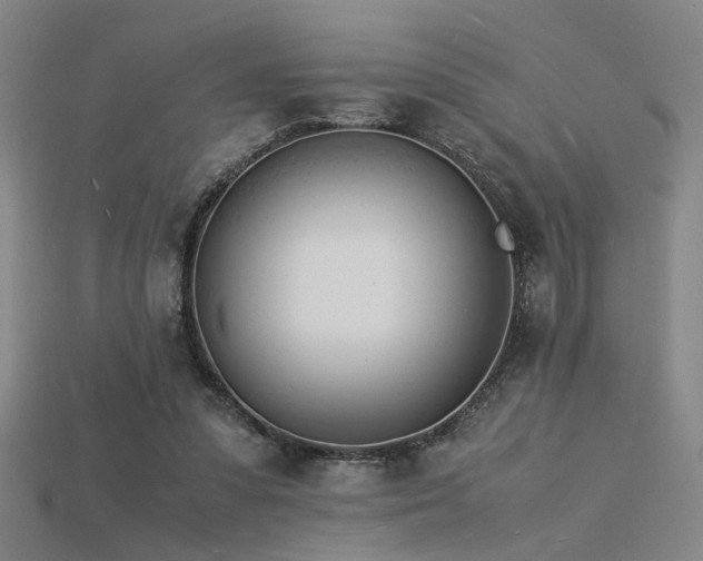 X0000115840303200911131536