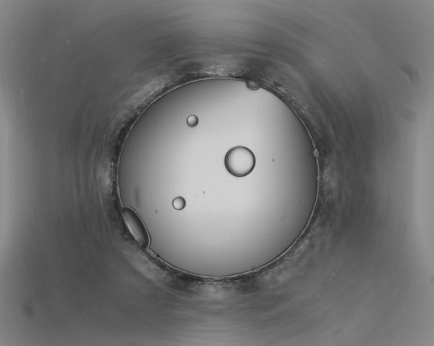 X0000115840305200911131536