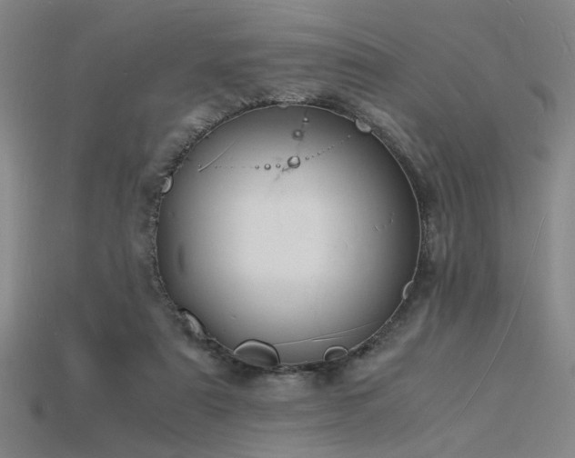 X0000115840307200911131536