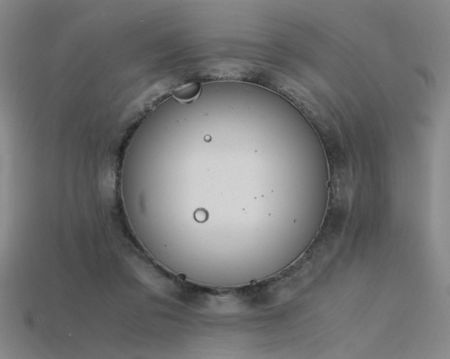 X0000115840309200911131536