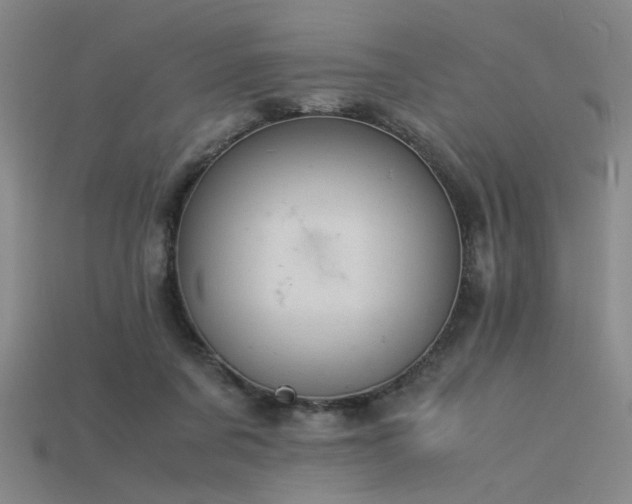 X0000115840311200911131536