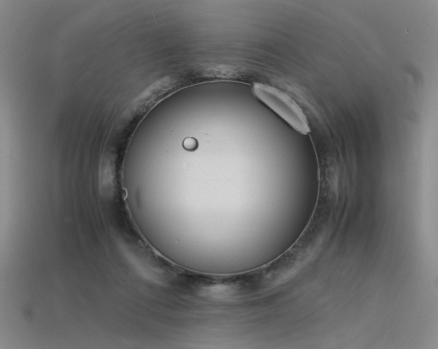 X0000115840312200911131536