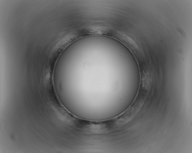 X0000115840314200911131536