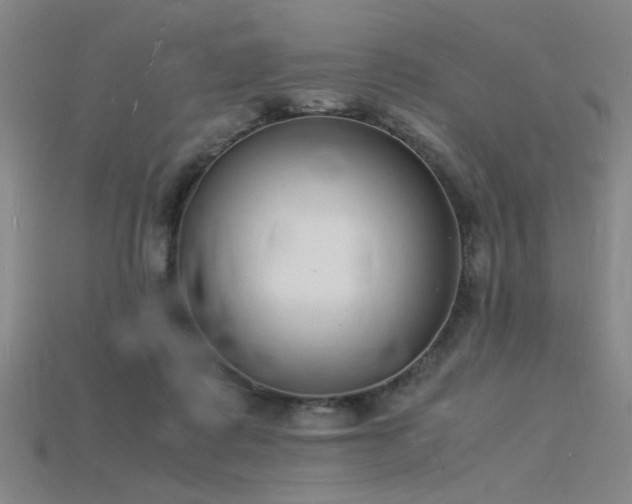 X0000115840315200911131536