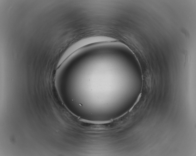 X0000115840316200911131536