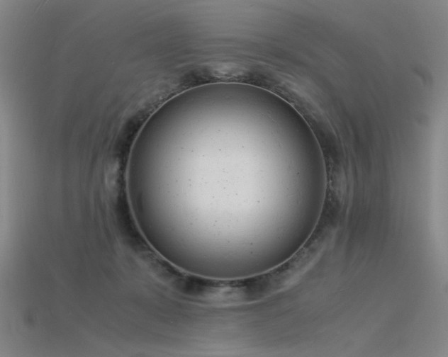 X0000115840319200911131536