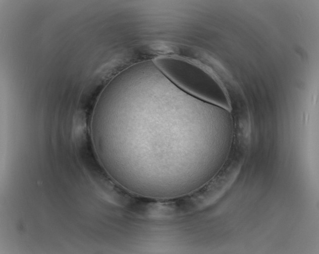 X0000115840320200911131536