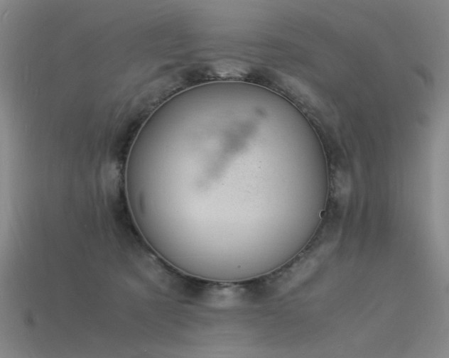 X0000115840321200911131536
