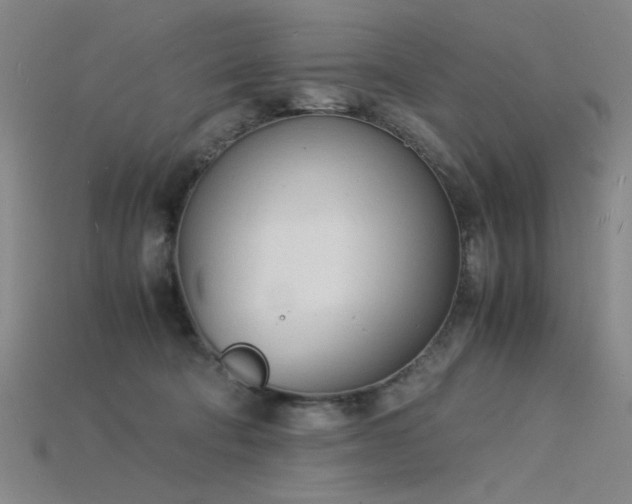 X0000115840322200911131536