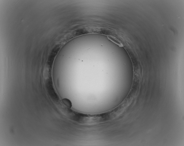 X0000115840323200911131536