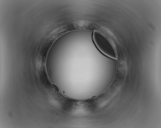 X0000115840324200911131536