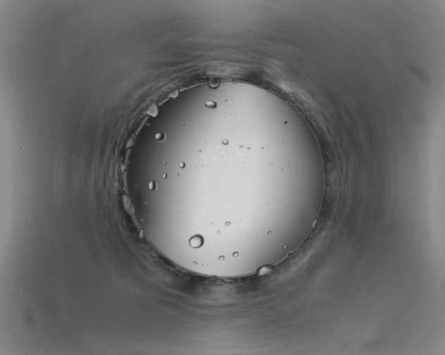 X0000115840325200911131536