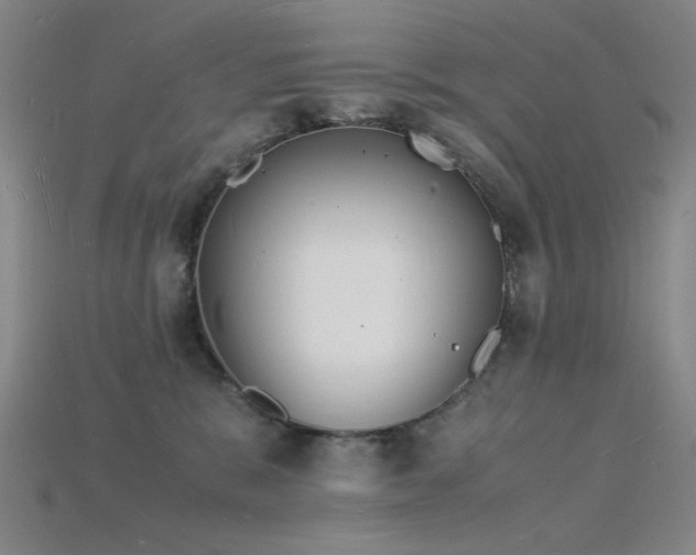 X0000115840327200911131536