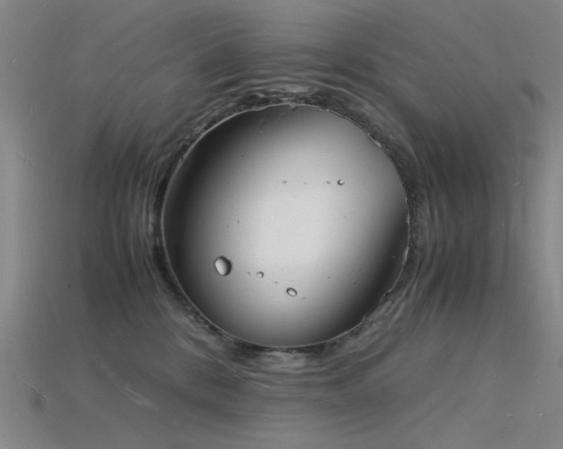 X0000115840328200911131536