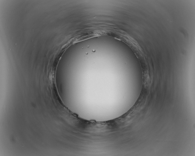 X0000115840329200911131536
