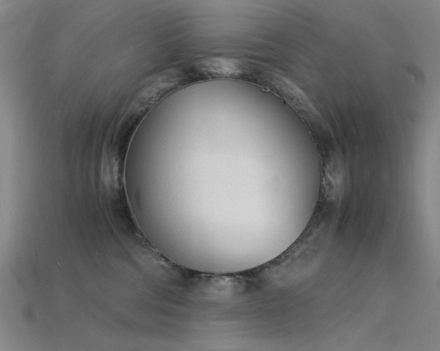 X0000115840330200911131536
