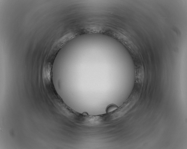 X0000115840334200911131536