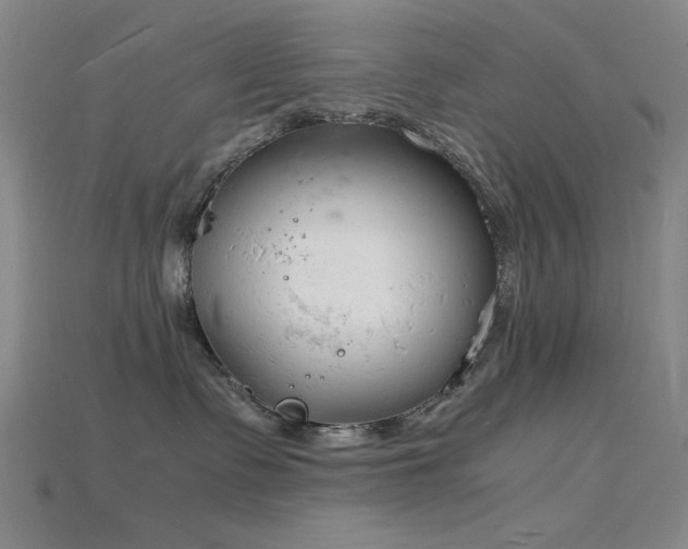 X0000115840335200911131536