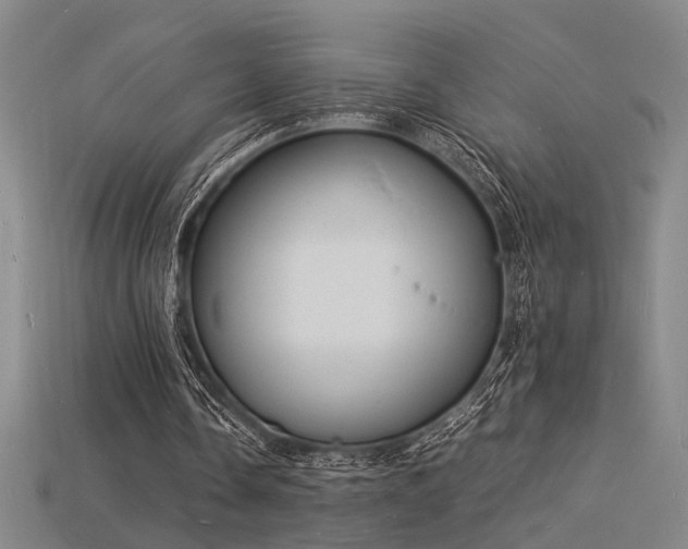 X0000115840338200911131535