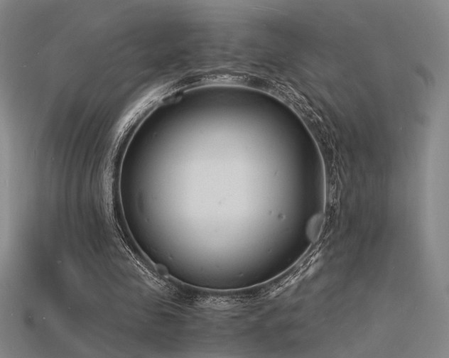 X0000115840341200911131535