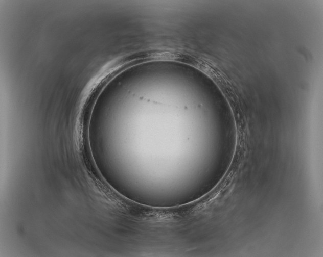 X0000115840343200911131535