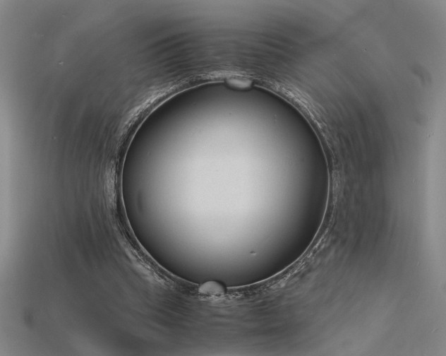 X0000115840345200911131535