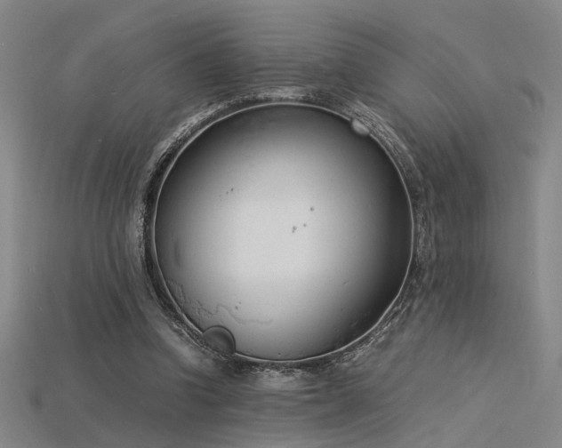 X0000115840346200911131535