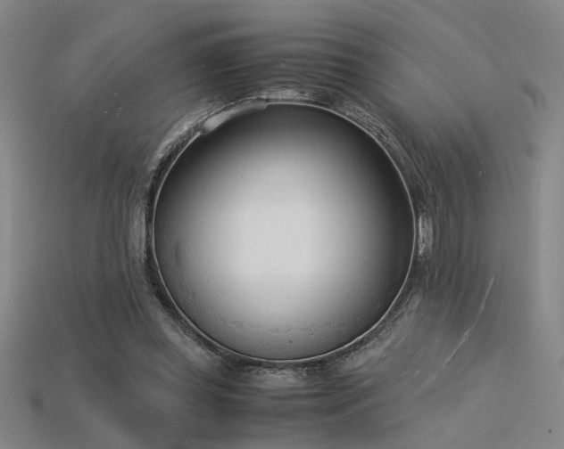 X0000115840349200911131535