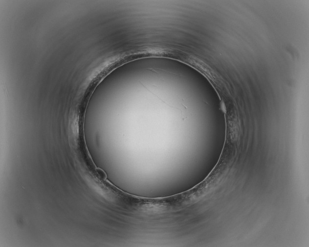 X0000115840350200911131535