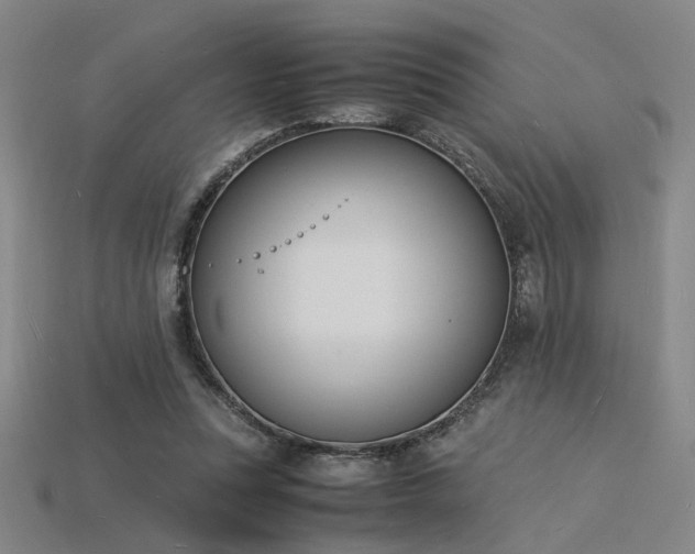X0000115840351200911131535