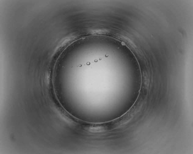 X0000115840357200911131535