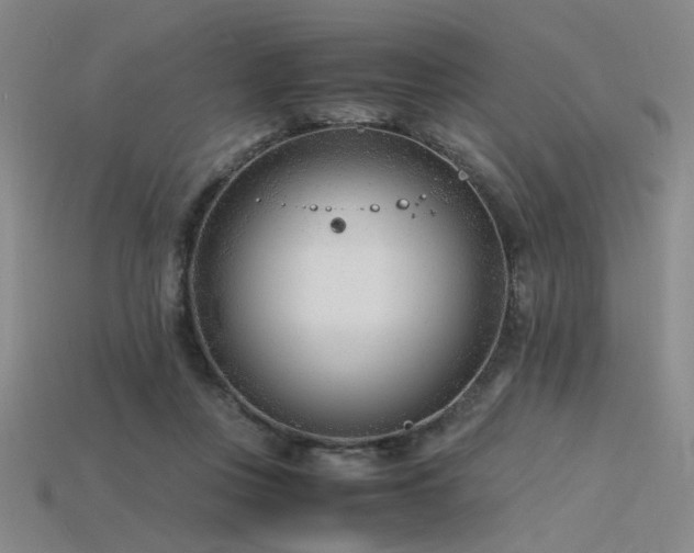 X0000115840359200911131535